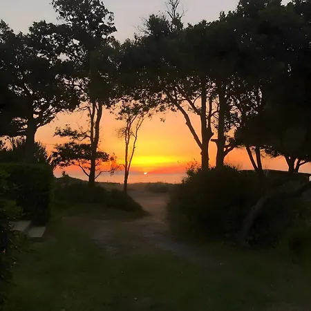 Lägenhet Le Type A *