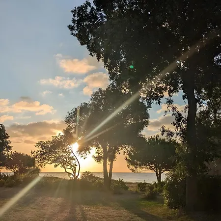 Le Type A Lägenhet Talasani