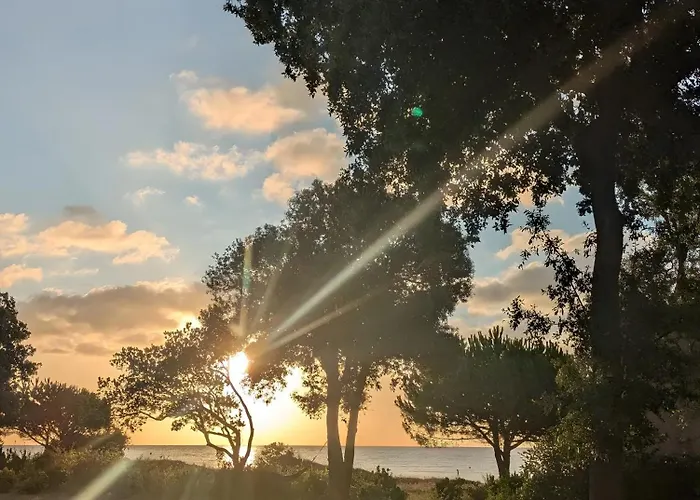 Le Type A 公寓 Talasani